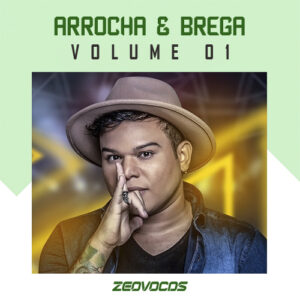 CAPA SELECAO ARROCHA & BREGA VOLUME 1 2020
