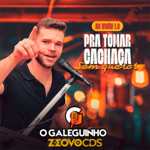 CAPA O GALEGUINHO PROMOCIONAL AO VIVAO 1.0 2024