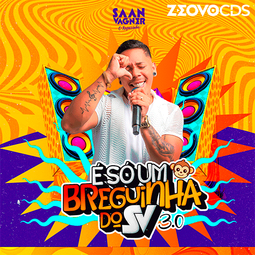 CAPA SAAN VAGNER É SÓ UM BREGUINHA 3.0 2026